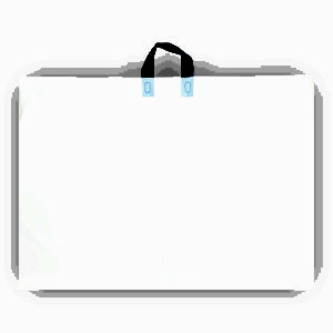 Bulletin Board or Chart Bag