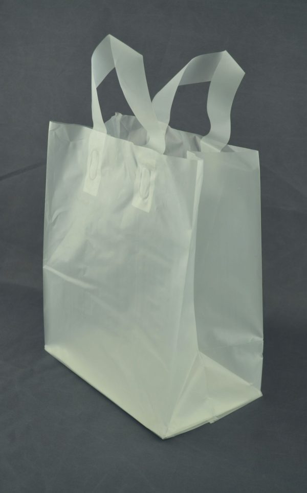 Frosted Loop Handle Shopping Bag 8 x 5 x 10