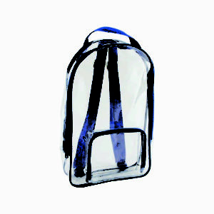 Mini Clear PVC Backpack